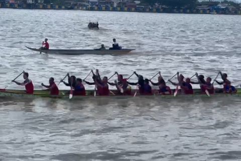 Lestarikan budaya lokal, HUT Kaltara ke-11 gelar lomba perahu dayung