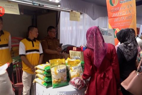 Hasil lab keluar, dugaan beras sintetis di Bukittinggi tidak terbukti