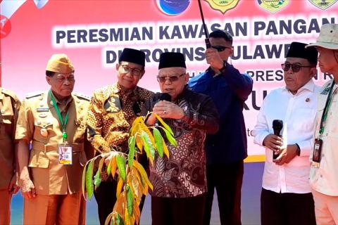 Topang IKN, Wapres resmikan Kawasan Pangan Nusantara di Sulteng