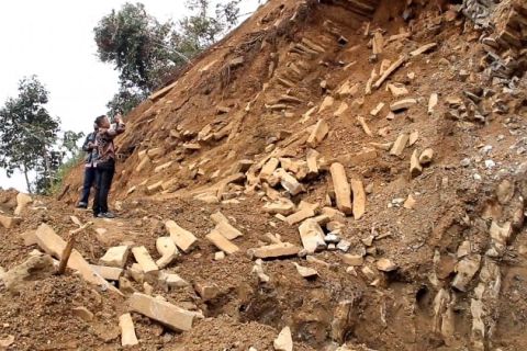 Titik-titik situs geologi kekar kolom di Pariaman mulai ditentukan