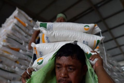 Bulog jamin ketersediaan beras di Gorontalo