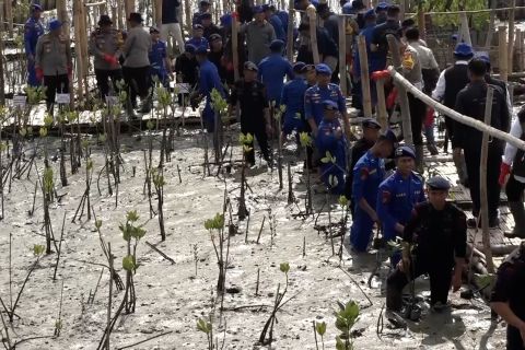Polisi tanam bibit pohon mangrove di sepanjang pesisir Jawa Timur