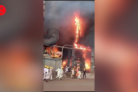 Belasan pekerja di PT Imip tewas akibat ledakan tungku