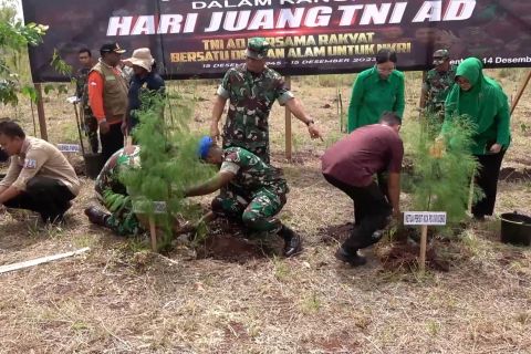 Kodam XVII/Cenderawasih tanam ribuan pohon di cagar alam Cycloop