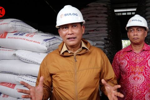 Buwas pastikan stok beras bantuan pangan 2024 di gudang Bulog Aceh