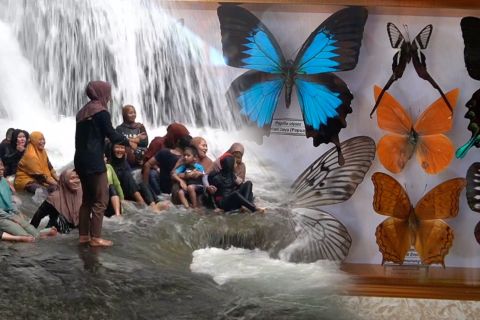 Wisata alam Bantimurung di Sulsel jadi favorit libur akhir tahun