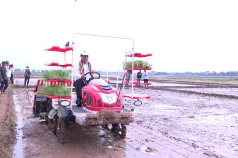 Mentan lakukan percepatan tanam padi untuk tingkatkan produktivitas