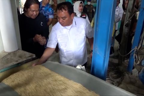 Ini strategi Pemprov Sultra kendalikan inflasi di 2024