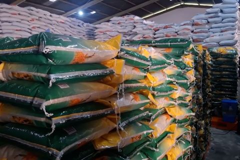 Kaltim tekan ketergantungan beras dengan diversifikasi pangan