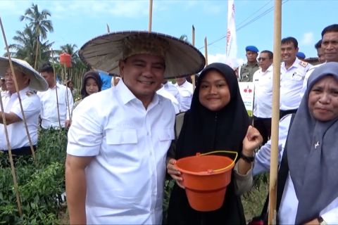 Pj Gubernur Sultra panen raya di lahan sekolah