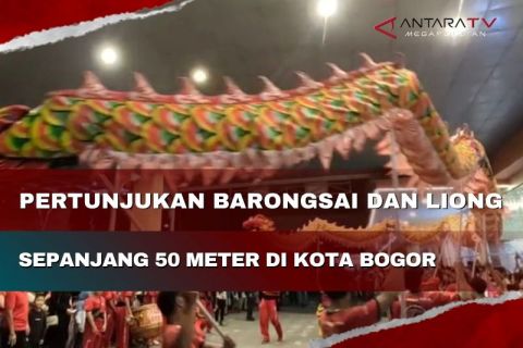 Pertunjukan Barongsai dan liong sepanjang 50 meter di Kota Bogor