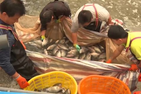 Produksi makanan laut air asin bawa kemakmuran bagi petani Gansu