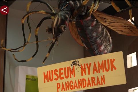 Museum Nyamuk satu-satunya di Indonesia