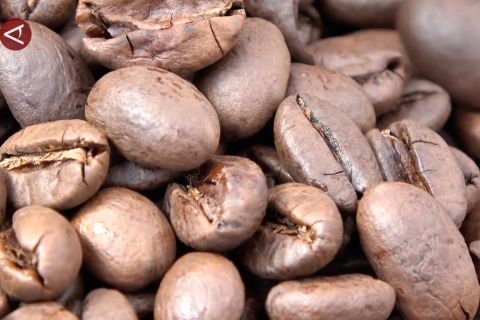 Upaya Pemprov Sumsel bawa kopi lokal mendunia