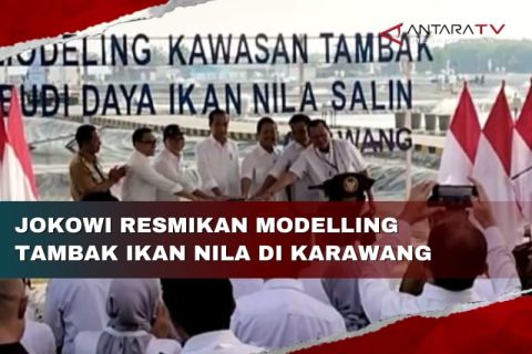 Jokowi resmikan modelling tambak ikan nila di Karawang