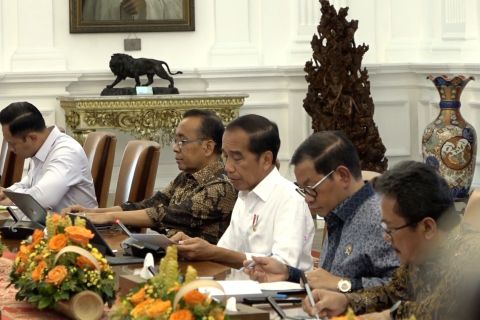 Jokowi perintahkan menteri relokasi pengungsi erupsi Gunung Ruang