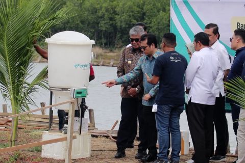 Kemenkominfo terapkan teknologi IOT tingkatkan produksi udang di Aceh