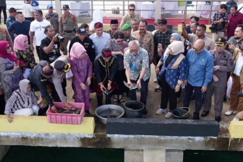 Ritual Sangal, sedekah laut masyarakat suku Bajau di Wakatobi