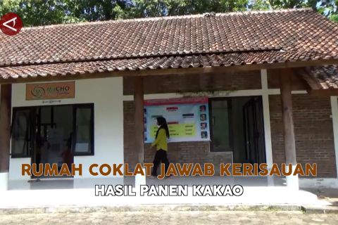 Rumah Coklat jawab kerisauan hasil panen kakao
