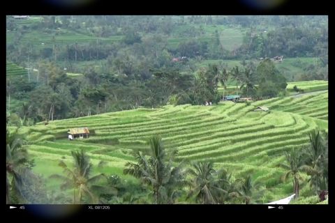 Subak, sistem irigasi mendunia dari Jatiluwih Bali
