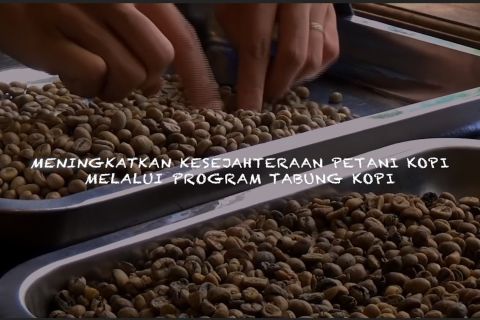 Meningkatkan kesejahteraan petani kopi melalui program tabung kopi