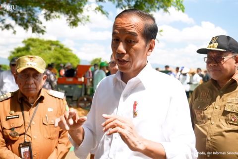 Tinjau panen jagung di Sumbawa, Presiden tekankan keseimbangan harga