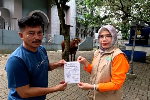 Pemkot Bogor terjunkan 200 pemantau di lokasi pemotongan hewan kurban