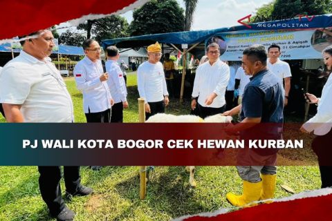 Penjabat Wali Kota Bogor mengecek hewan kurban