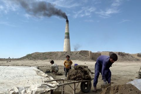 OCHA PBB: 19 persen anak jadi pekerja anak di Afghanistan