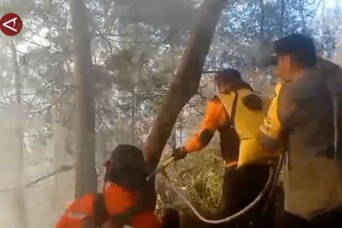 Petugas gabungan dan relawan bersiaga pasca kebakaran di Gunung Bromo