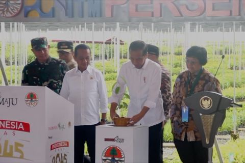 Presiden Jokowi resmikan pesemaian skala besar Mentawir