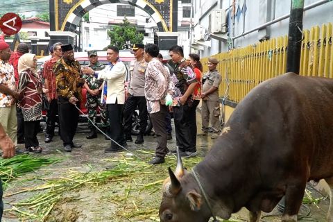 Pj Wali Kota Jayapura serahkan 10 hewan kurban ke masjid di 5 distrik