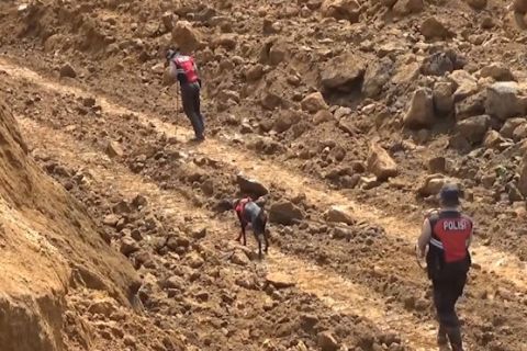 Anjing pelacak dikerahkan cari korban tanah longsor Pronojiwo Lumajang