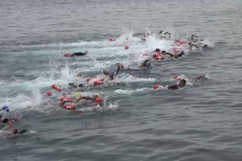 180 bibit atlet muda Papua ikuti lomba renang di perairan terbuka