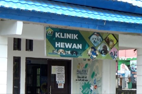 Distanak Sultra siapkan klinik hewan gratis bagi masyarakat
