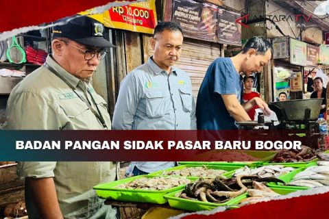 Badan Pangan Nasional sidak ke Pasar Baru Bogor