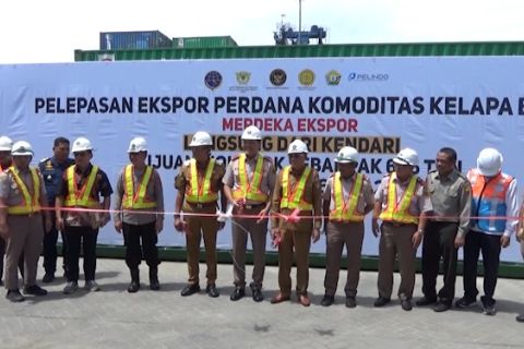 Sultra ekspor perdana 646 ton komoditas kelapa bulat ke China