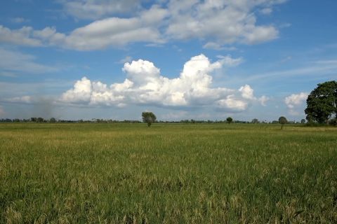 Wamentan targetkan Optimasi Lahan Rawa di Sumsel tuntas September