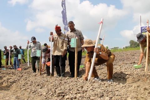 Kaltim mulai kembangkan pertanian di lahan eks tambang