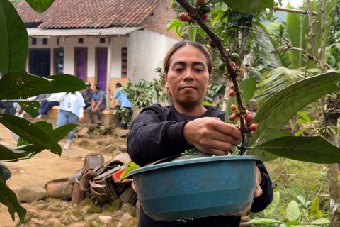 Perempuan berdaya, desa sejahtera: Kisah inspiratif dari Banyuwangi