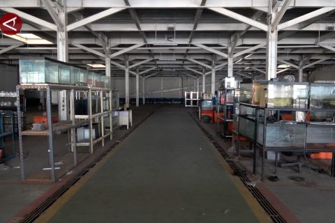 Pemkot Palembang siap fungsikan lagi Pasar Ikan Modern