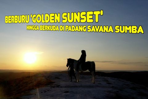 Berburu 'Golden Sunset' hingga berkuda di Padang Savana Sumba