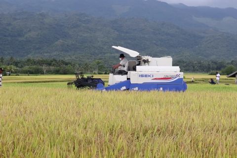 BPS sebut pertanian jadi ujung tombak pengentasan kemiskinan di Aceh