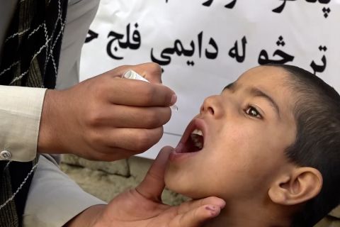 Afghanistan luncurkan kampanye antipolio yang targetkan 6,5 juta anak