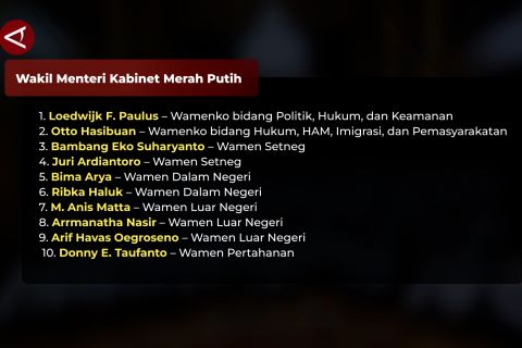 Berikut 56 nama wakil menteri Kabinet Merah Putih