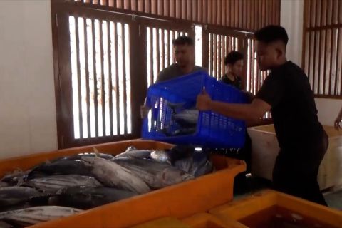 DIY resmikan Pelabuhan Perikanan Pantai Gesing berbasis pariwisata