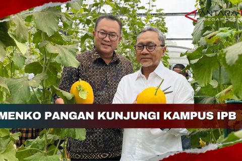 Menko Pangan kunjungi kampus IPB