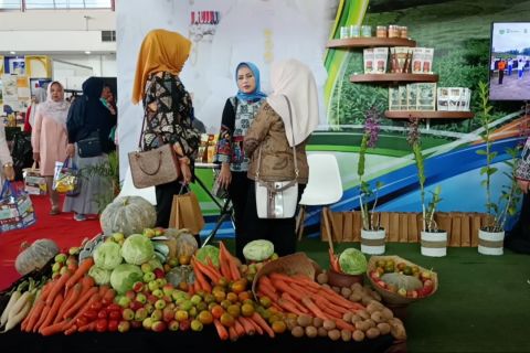 Jatim libatkan UMKM kembangkan industri pangan dari karbohidrat