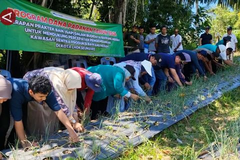 Pemko Lhokseumawe berikan edukasi penggunaan pupuk mikroba pada petani