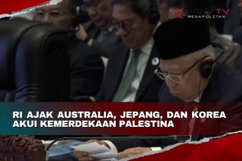 RI ajak Australia, Jepang, dan Korea akui kemerdekaan Palestina